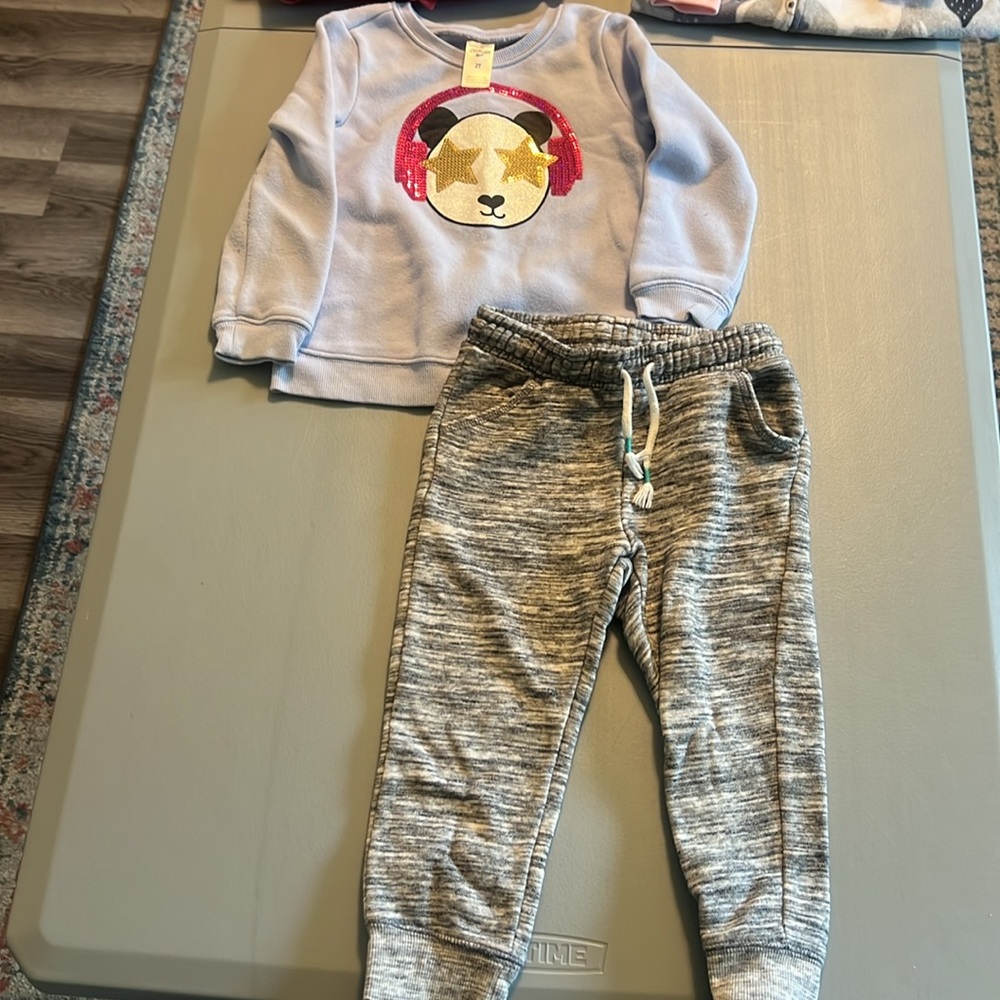 Toddler Girl Size 2T-3T Bundle Fall & Winter Zara, Carters, Cat & Jack, Osh Kosh - Picture 6 of 13